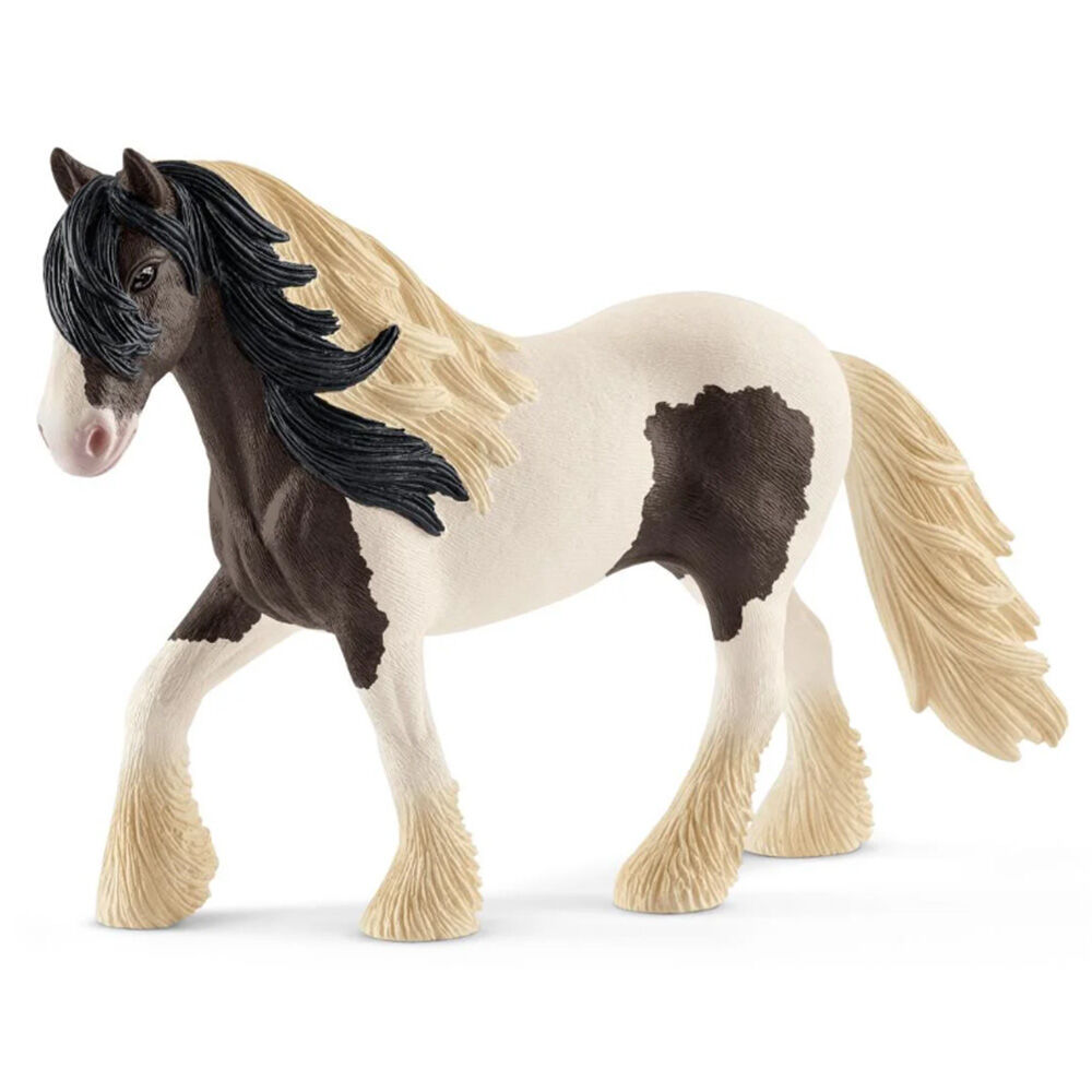 image of Tinker, stallion