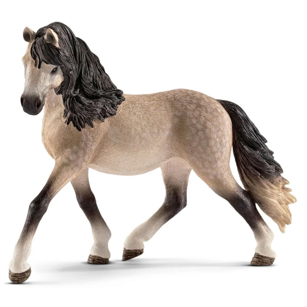 image of Andalusian, mare