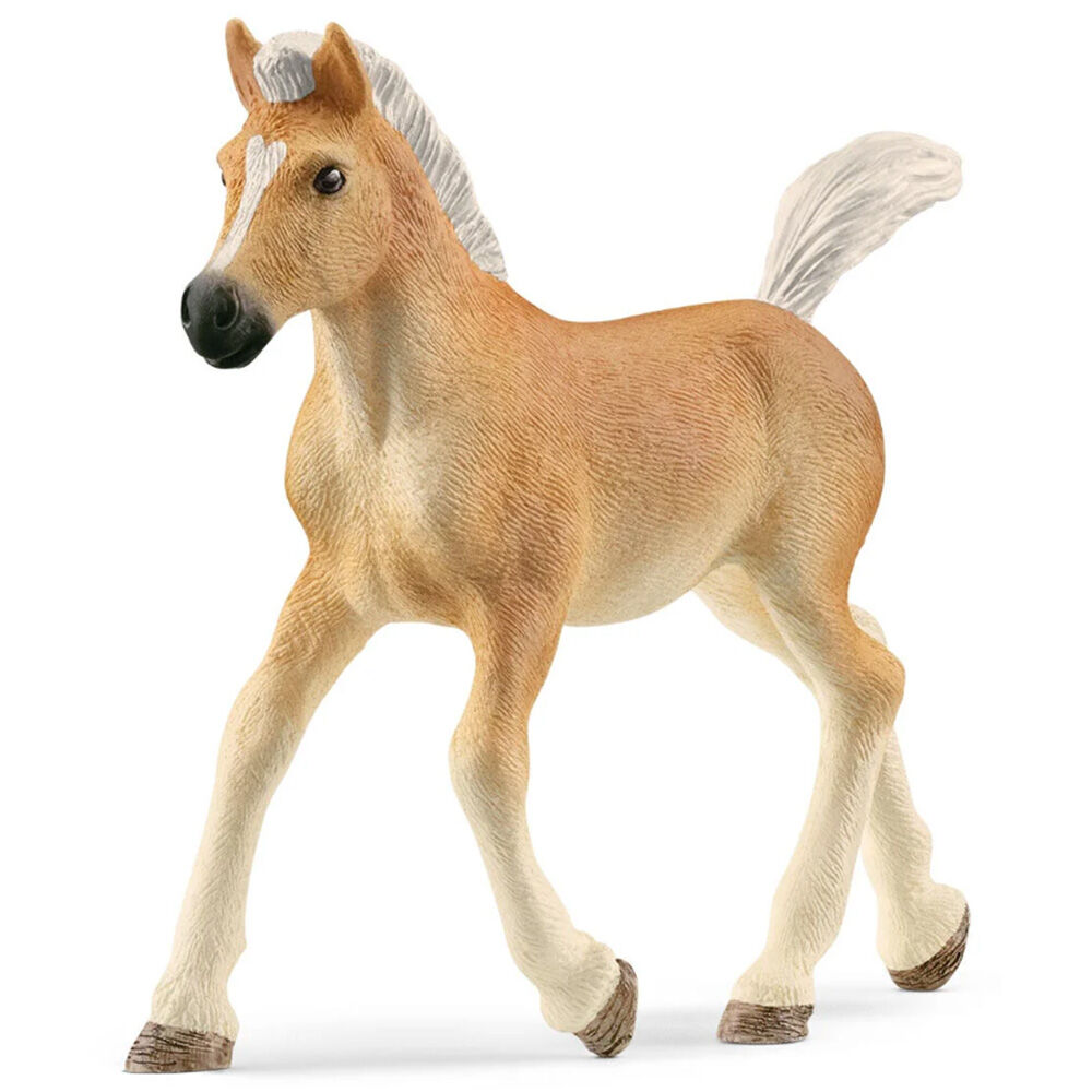 image of Haflinger, foal