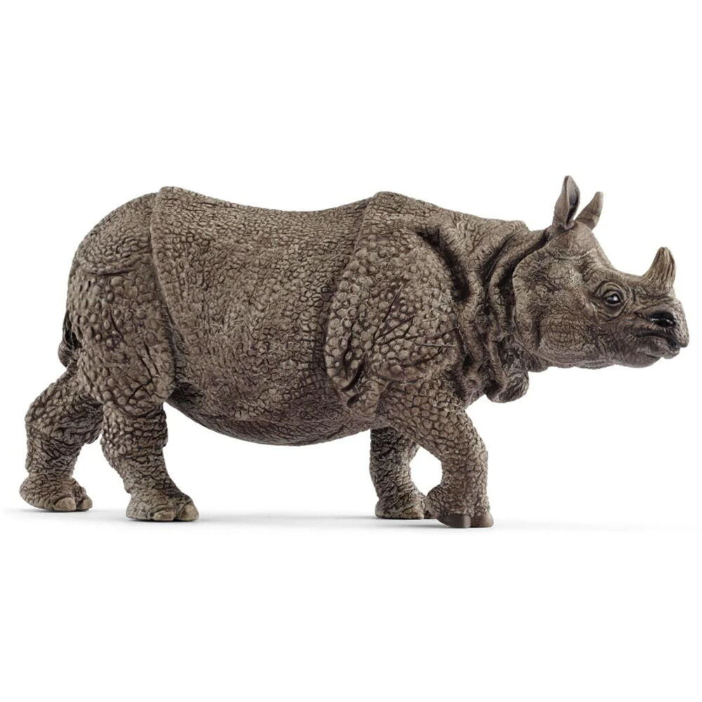 image of Indian Rhinoceros