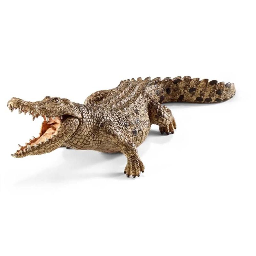 image of Crocodile
