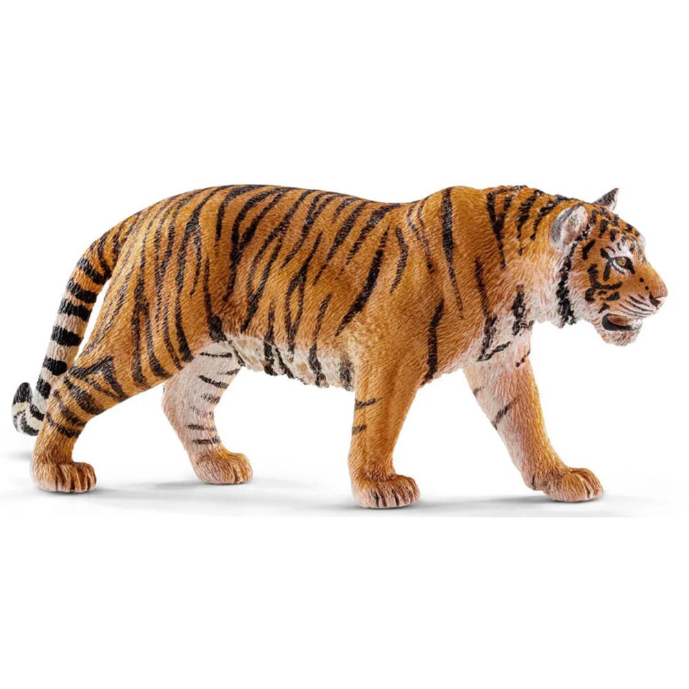 image of Tiger
