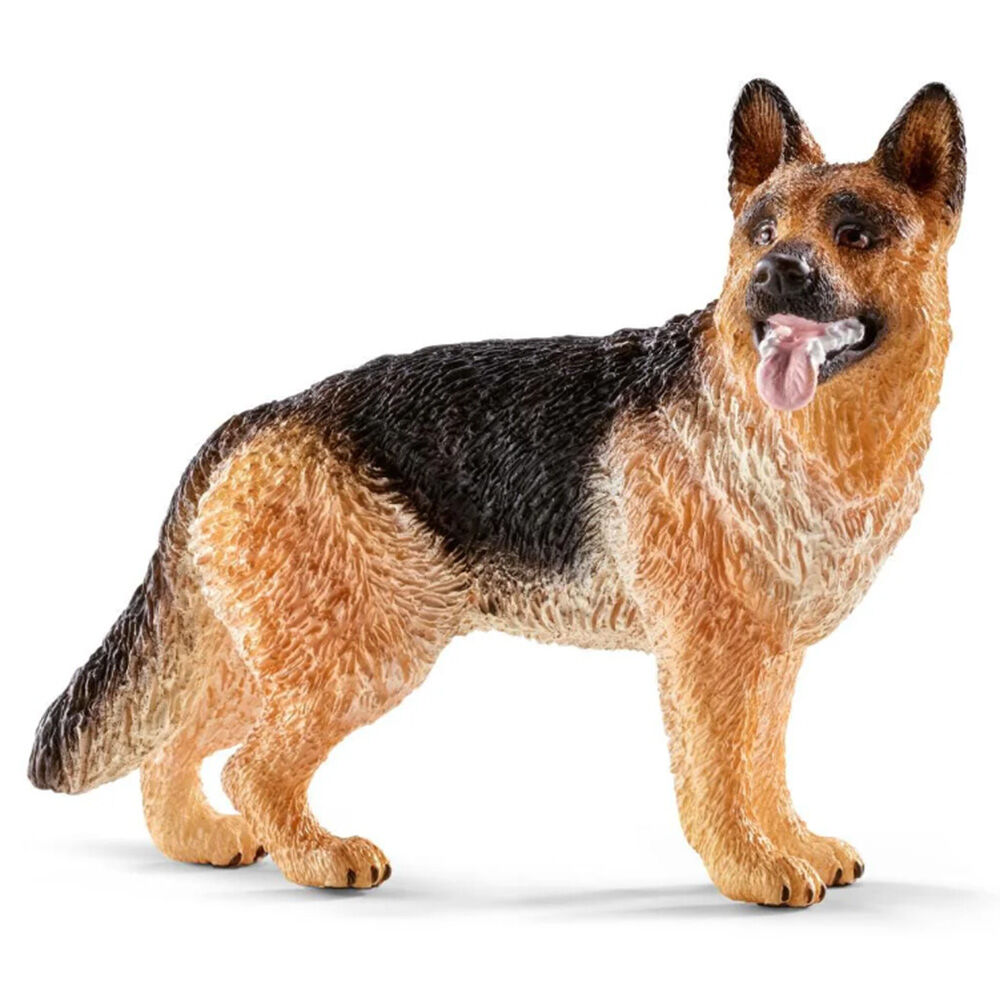 image of German Shepherd