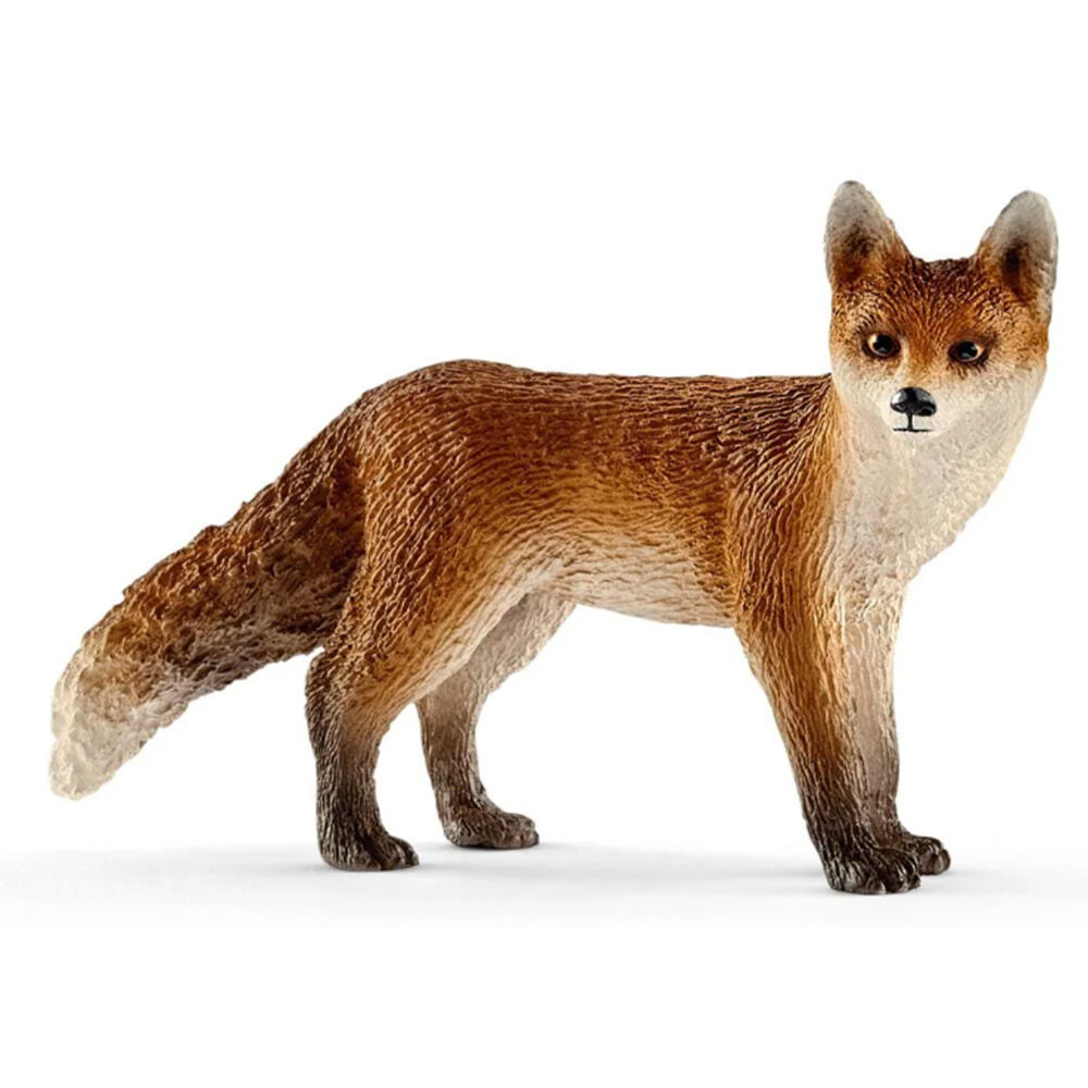 image of Fox
