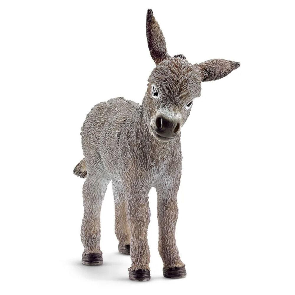 image of Donkey, foal