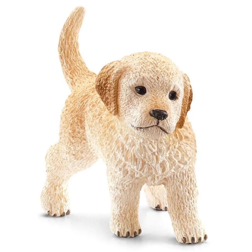 image of Golden Retriever, puppy