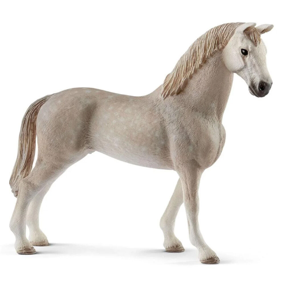 image of Holsteiner, gelding