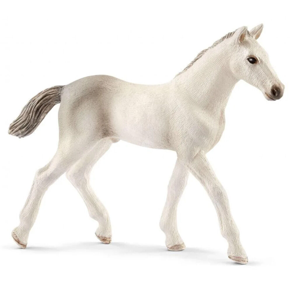 image of Holsteiner, foal