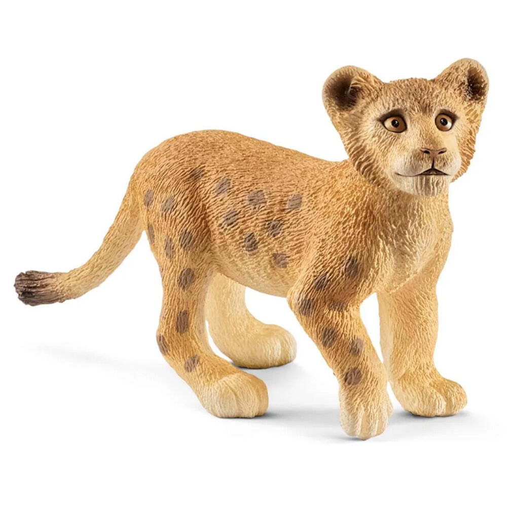 image of Lion, cub