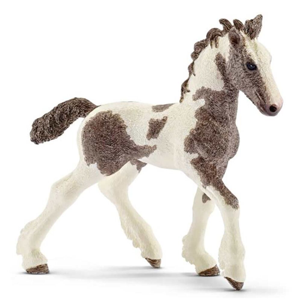 image of Tinker, foal