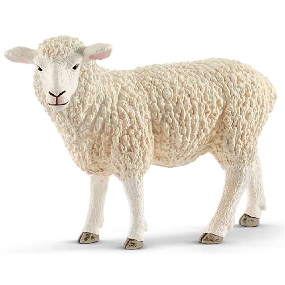image of Sheep