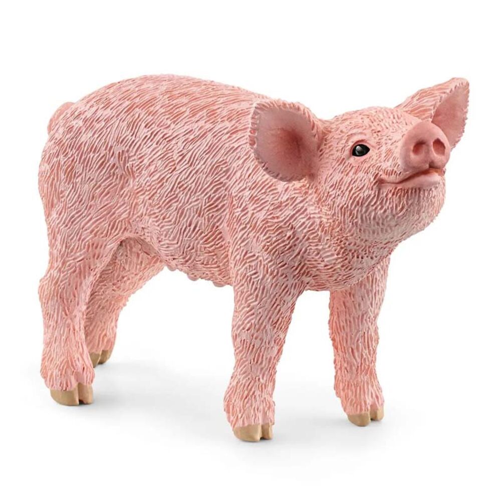 image of Piglet