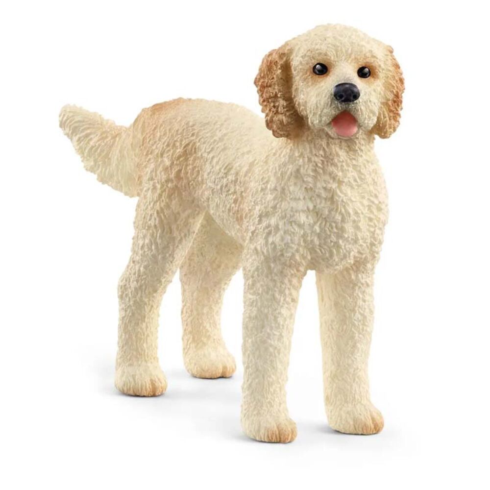 image of Goldendoodle