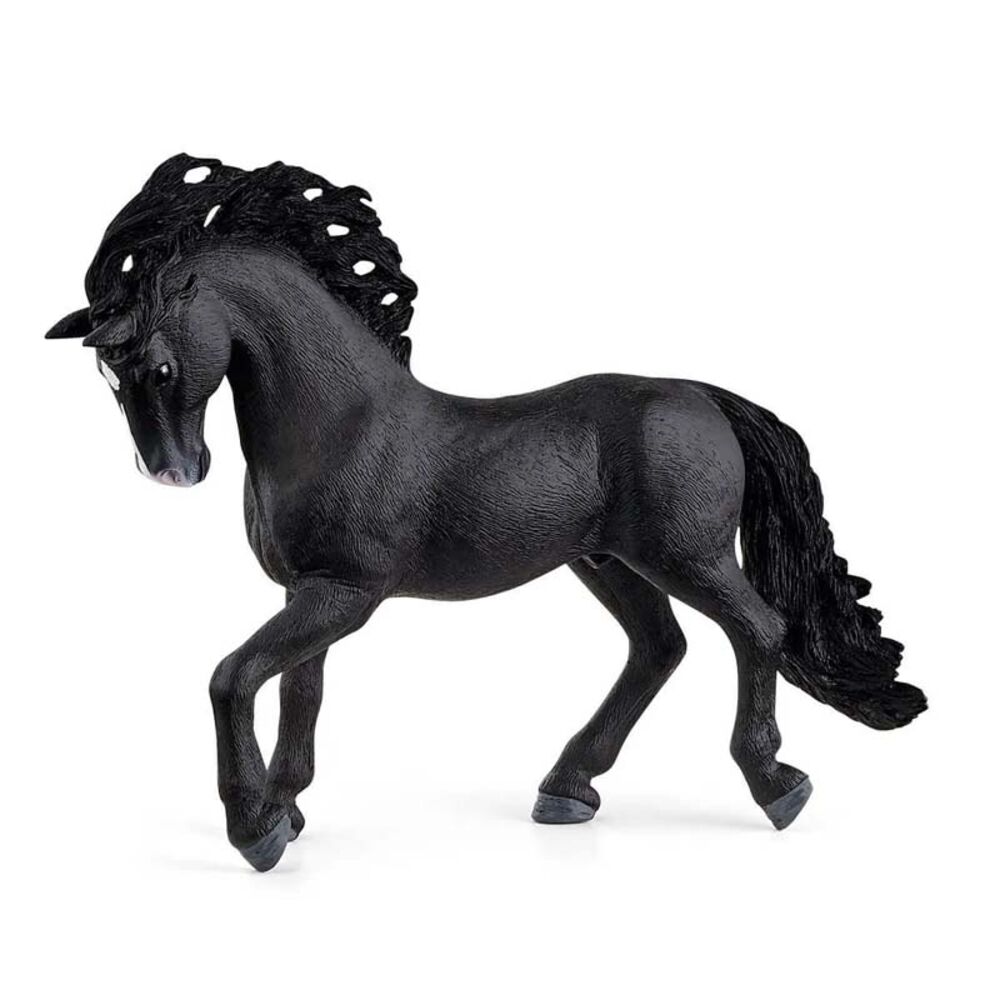 image of Pura Raza Española, stallion