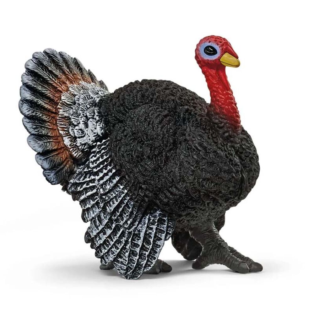 image of Turkey