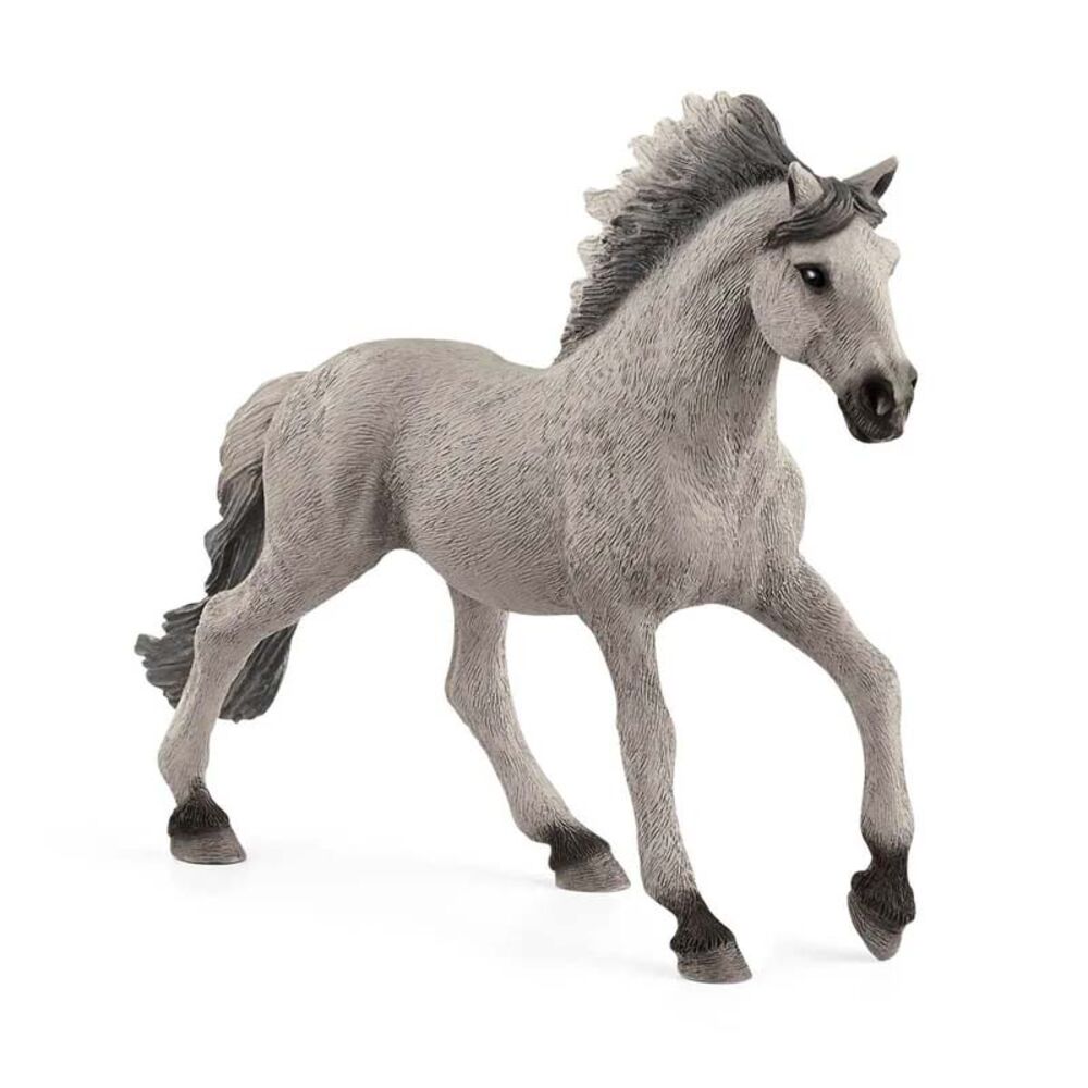 image of Sorraia Mustang, stallion