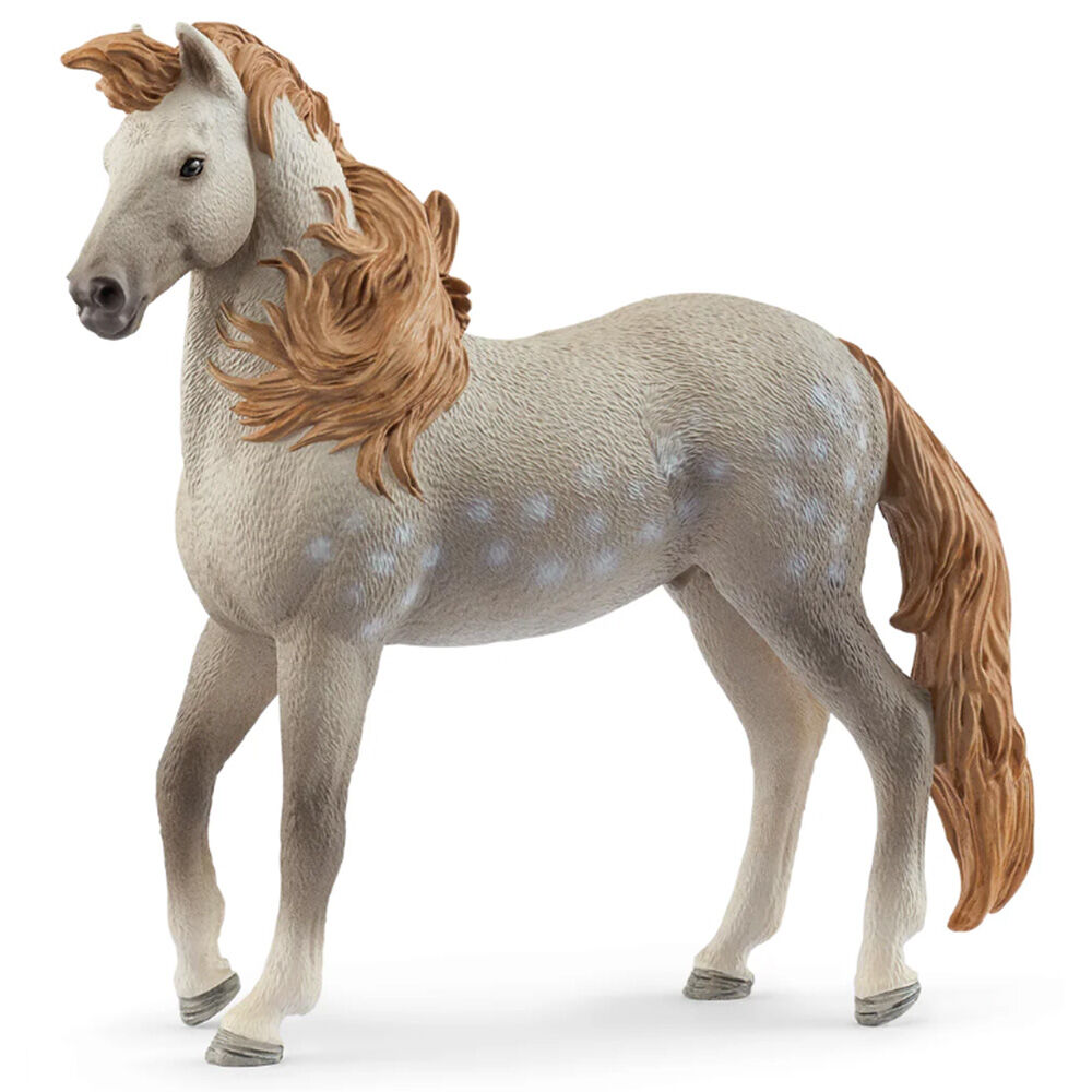 image of Andalusian Stallion