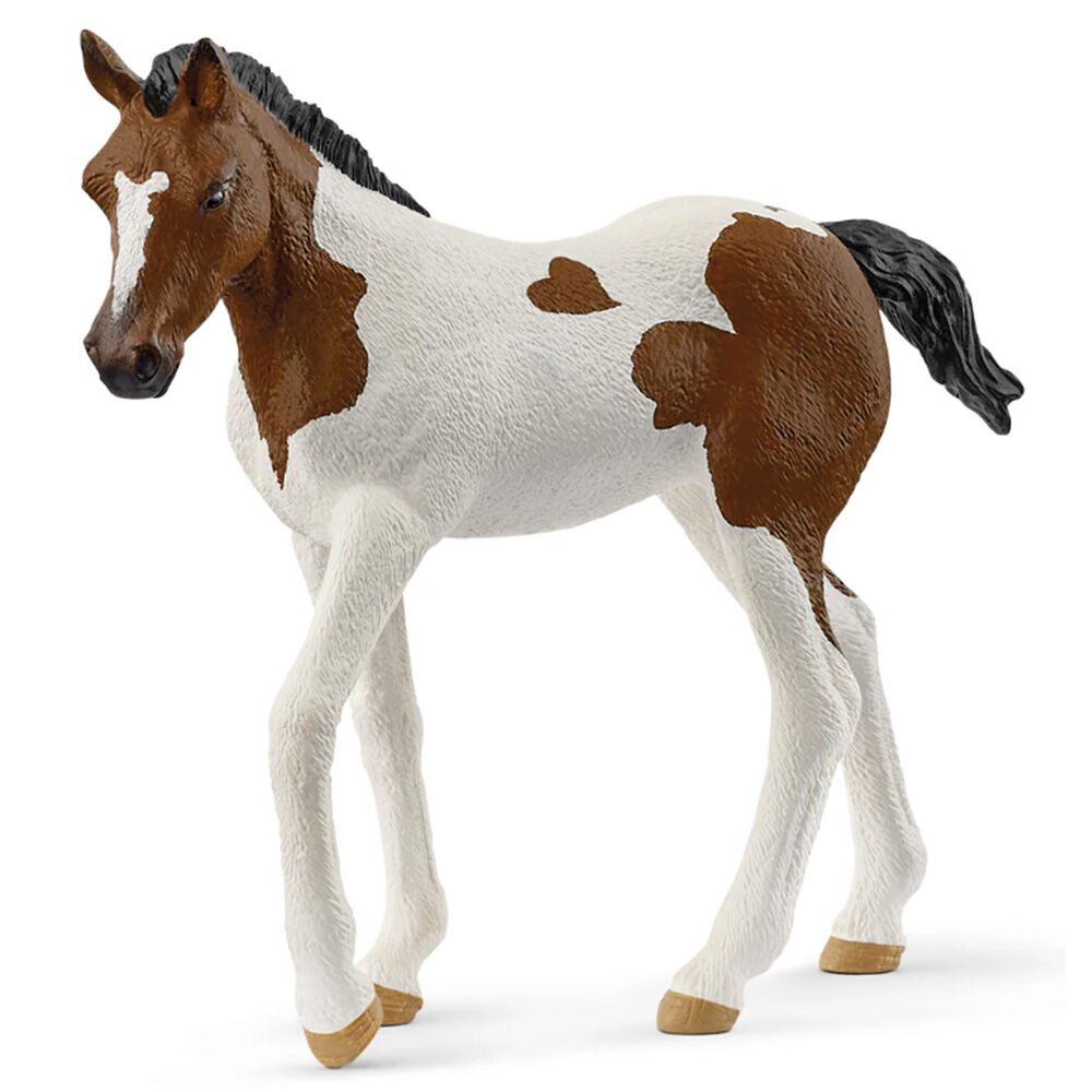 image of Paint Horse, foal