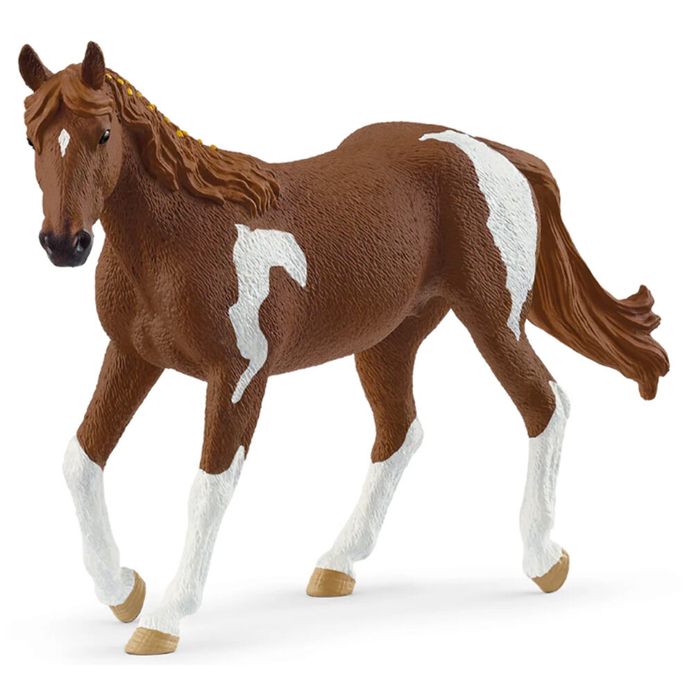image of Paint Horse, mare