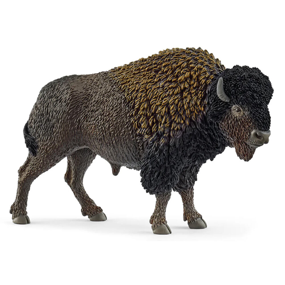 image of Bison
