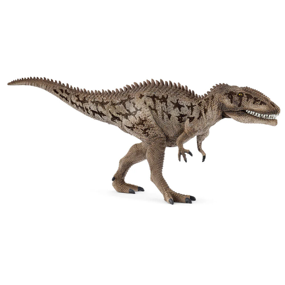 image of Carcharodontosaurus