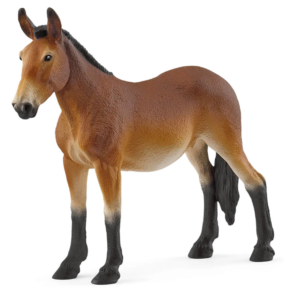 image of Mule