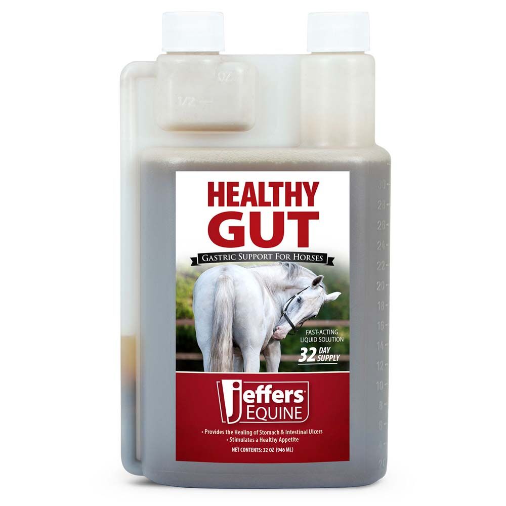 image of Healthy Gut Gastric Support Liquid Supplement for Horses