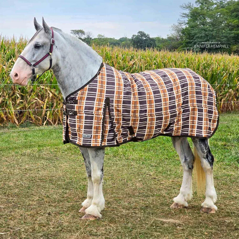 image of Solaris 1200D Standard Neck Draft Horse Turnout Blanket - 240 g - Brown & Cream Plaid