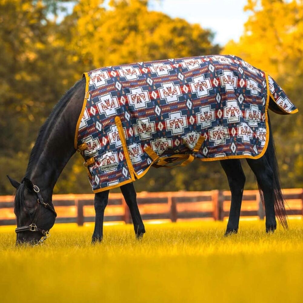 image of Expression 1200D Standard Neck Turnout Horse Blanket - 240 g - Thunderbird 