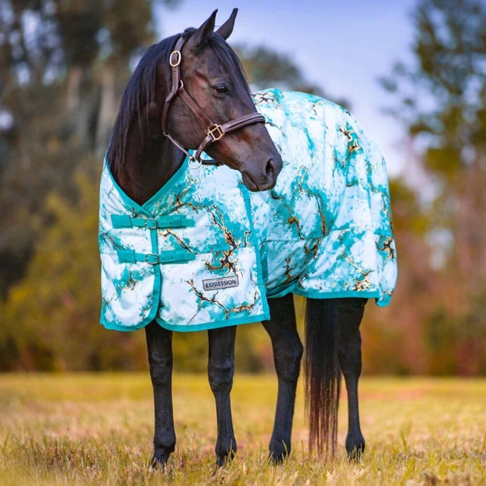 image of Expression 1200D Standard Neck Horse Turnout Sheet - 0 g - Bisbee Blue