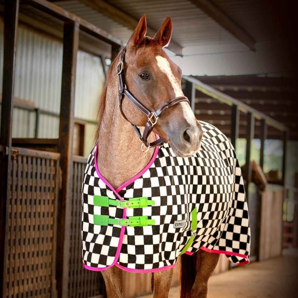 image of Expression Standard Neck Fleece Horse Cooler- Skater Cowgirl