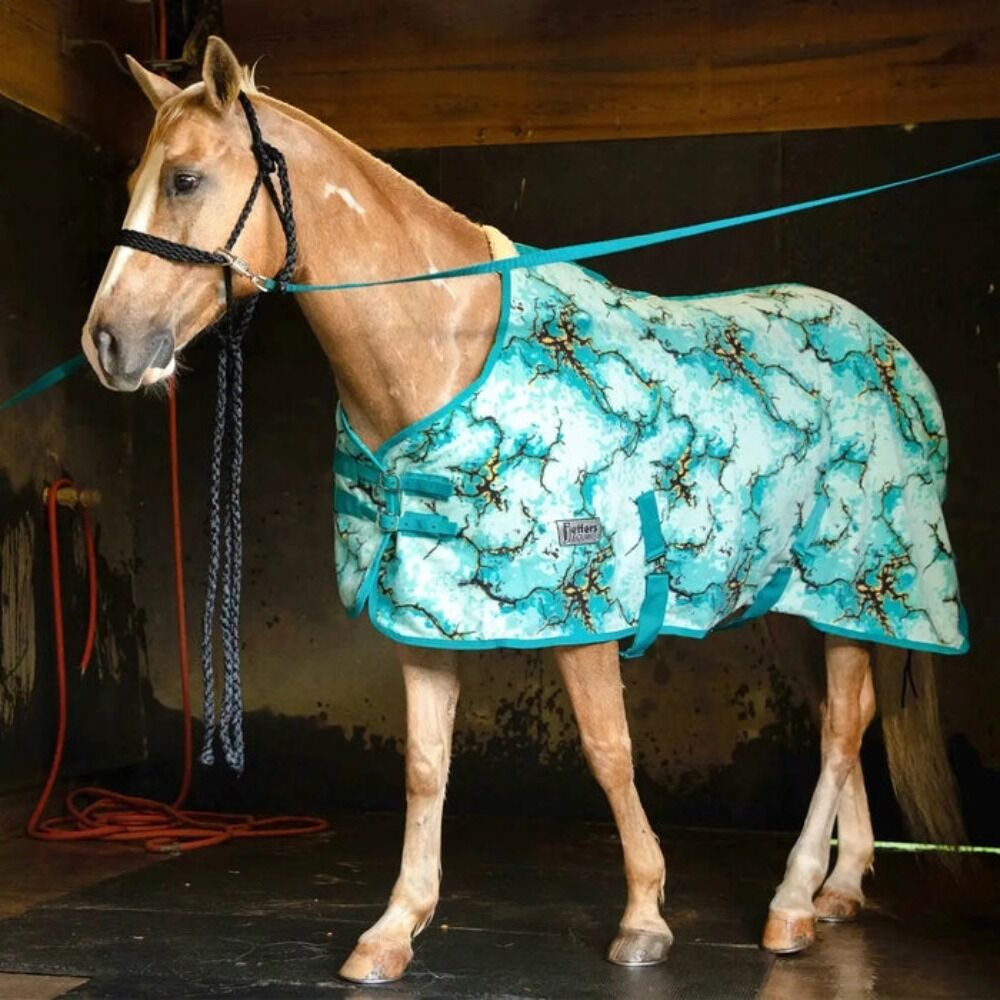 image of Expression Standard Neck Fleece Horse Cooler - Bisbee Blue