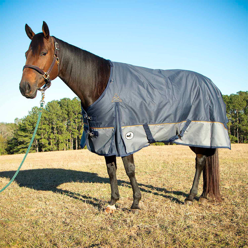 image of Economy Plus 1200D Horse Turnout Blanket with Standard Neck - 240 g - Navy/Gray 