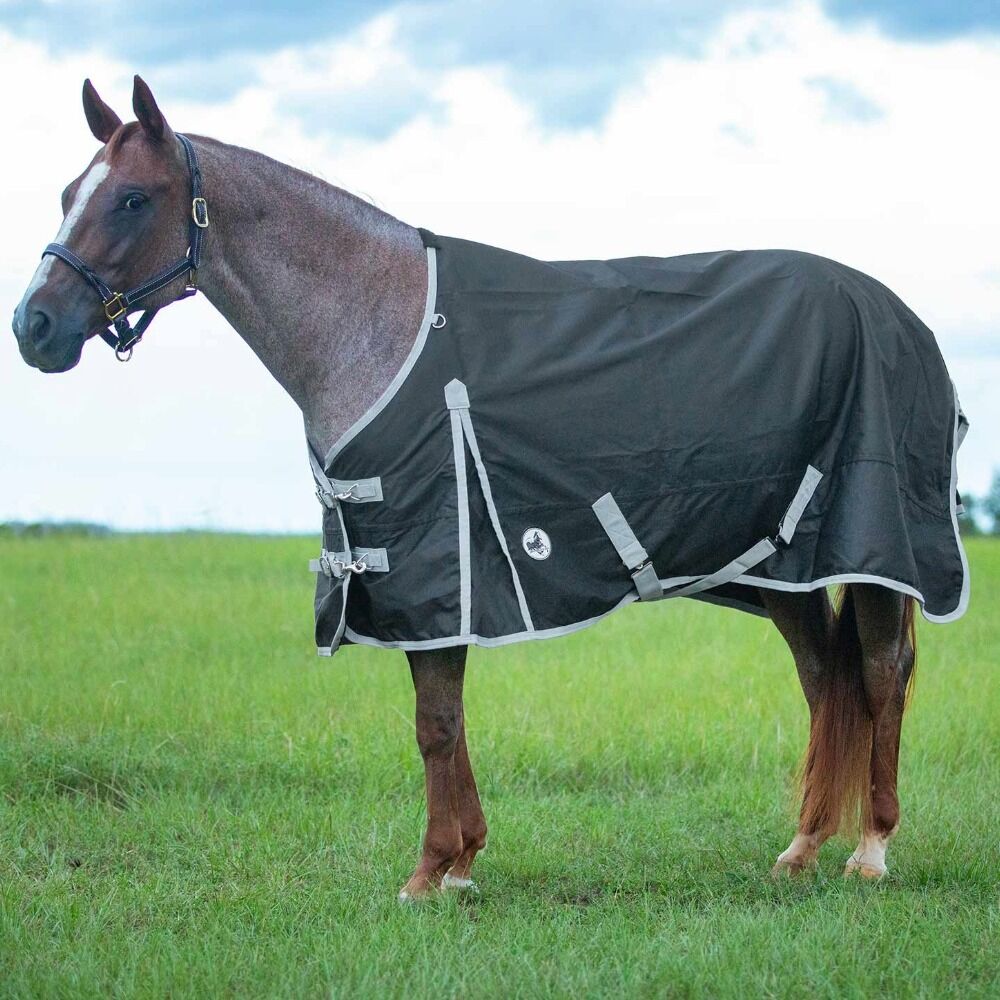 image of Economy 600 Denier Standard Neck Horse Turnout Blanket - 240 g - Black/Grey 