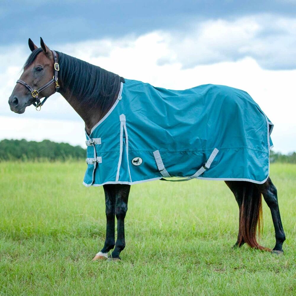 image of Economy 600 Denier Standard Neck Horse Turnout Blanket - 240 g - Teal/Grey 