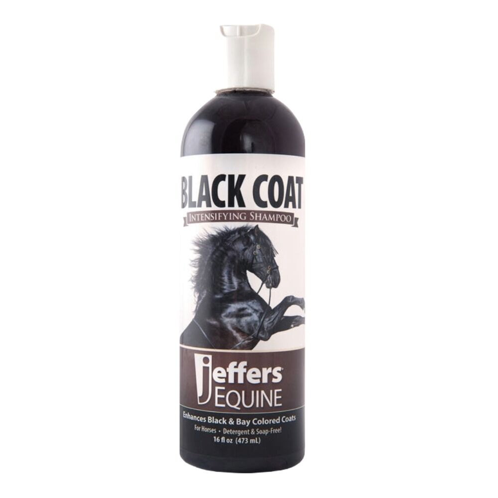 image of Equine Black Coat Shampoo for Horses - 16 oz