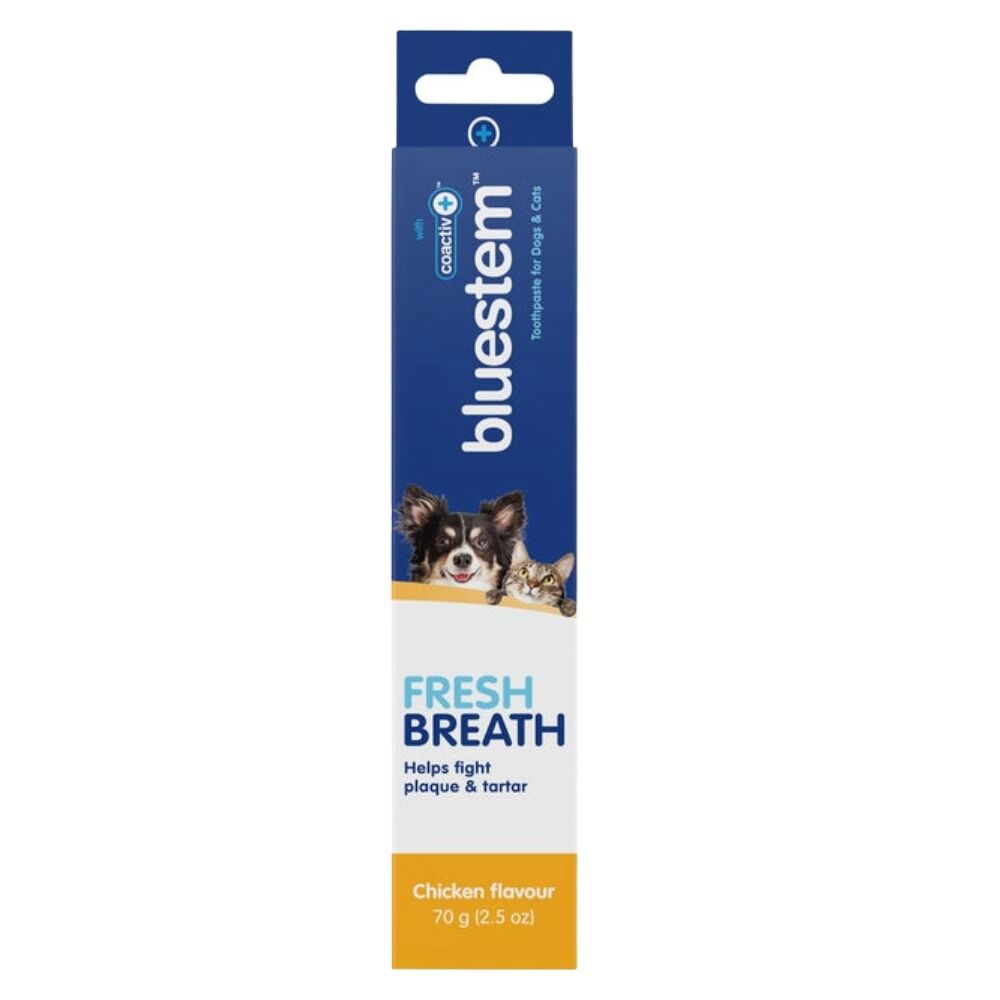 image of Bluestem Toothpaste for Dogs and Cats with coactiv+ Chicken Flavor  - 2.5 oz