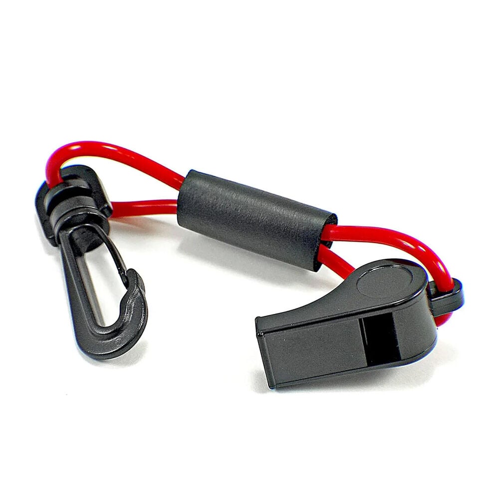 image of Whistle with Lanyard