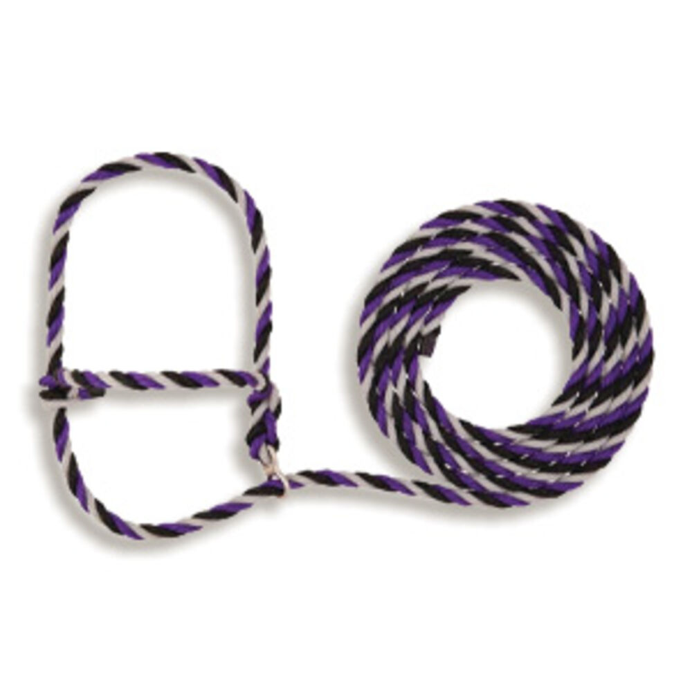 Ropes and Halters