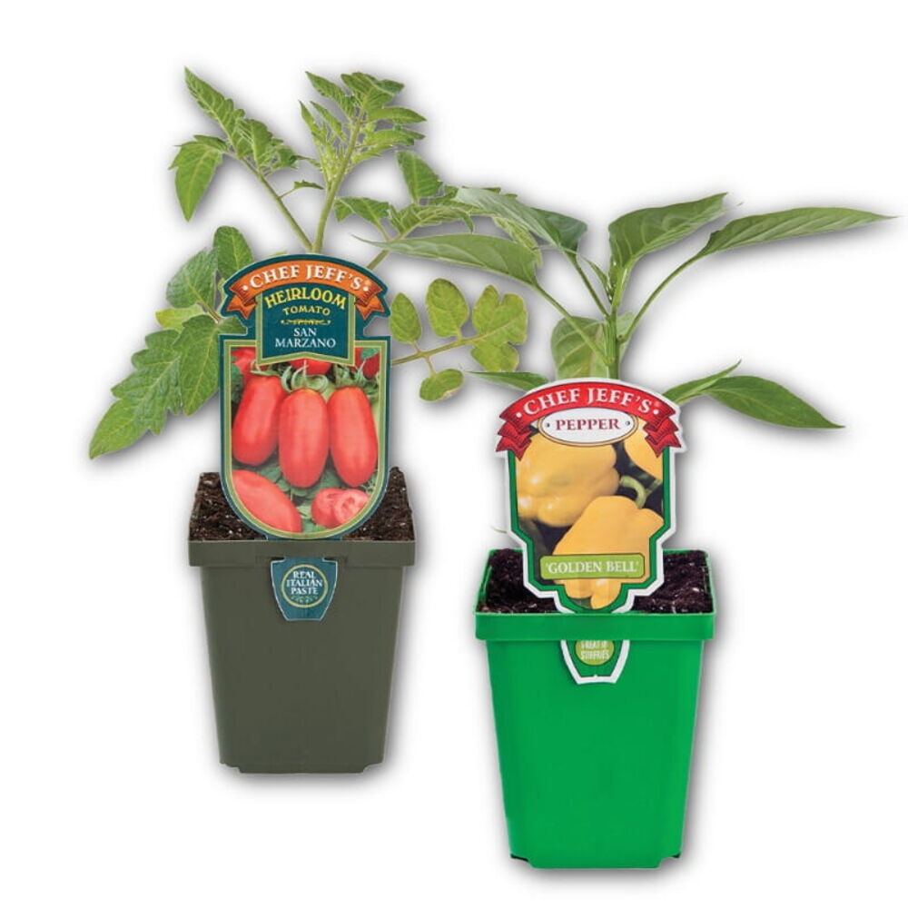 Fruit & Vegetable Plants