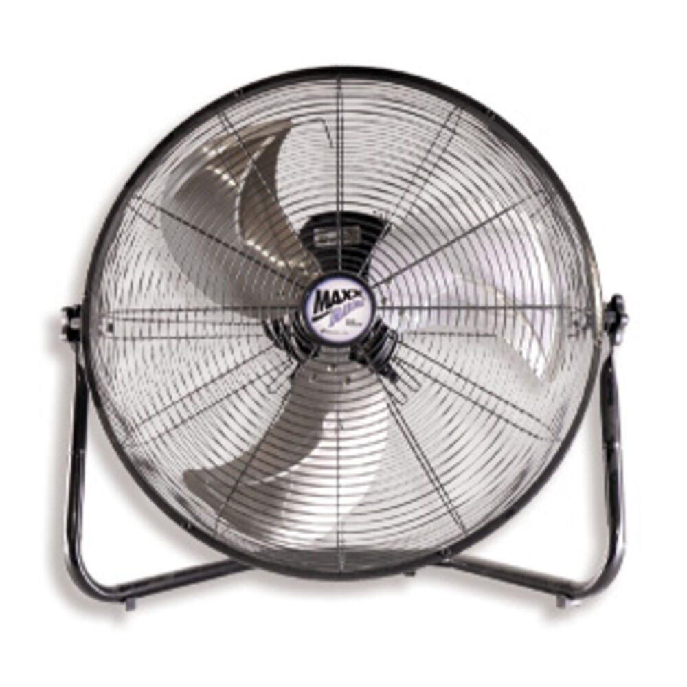 Fans