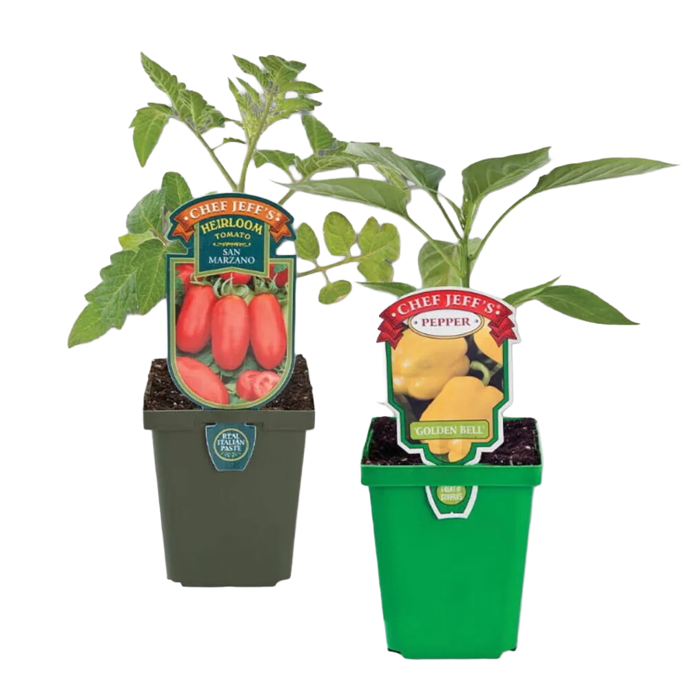Fruit & Vegetable Plants