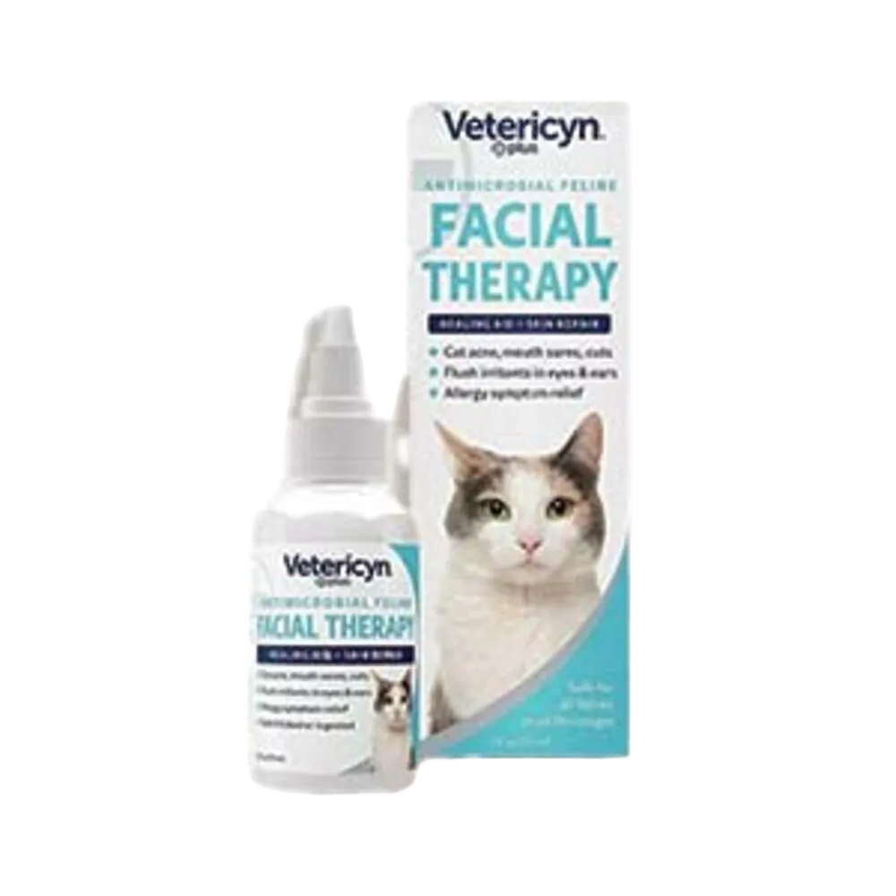Cat Health and Wellness