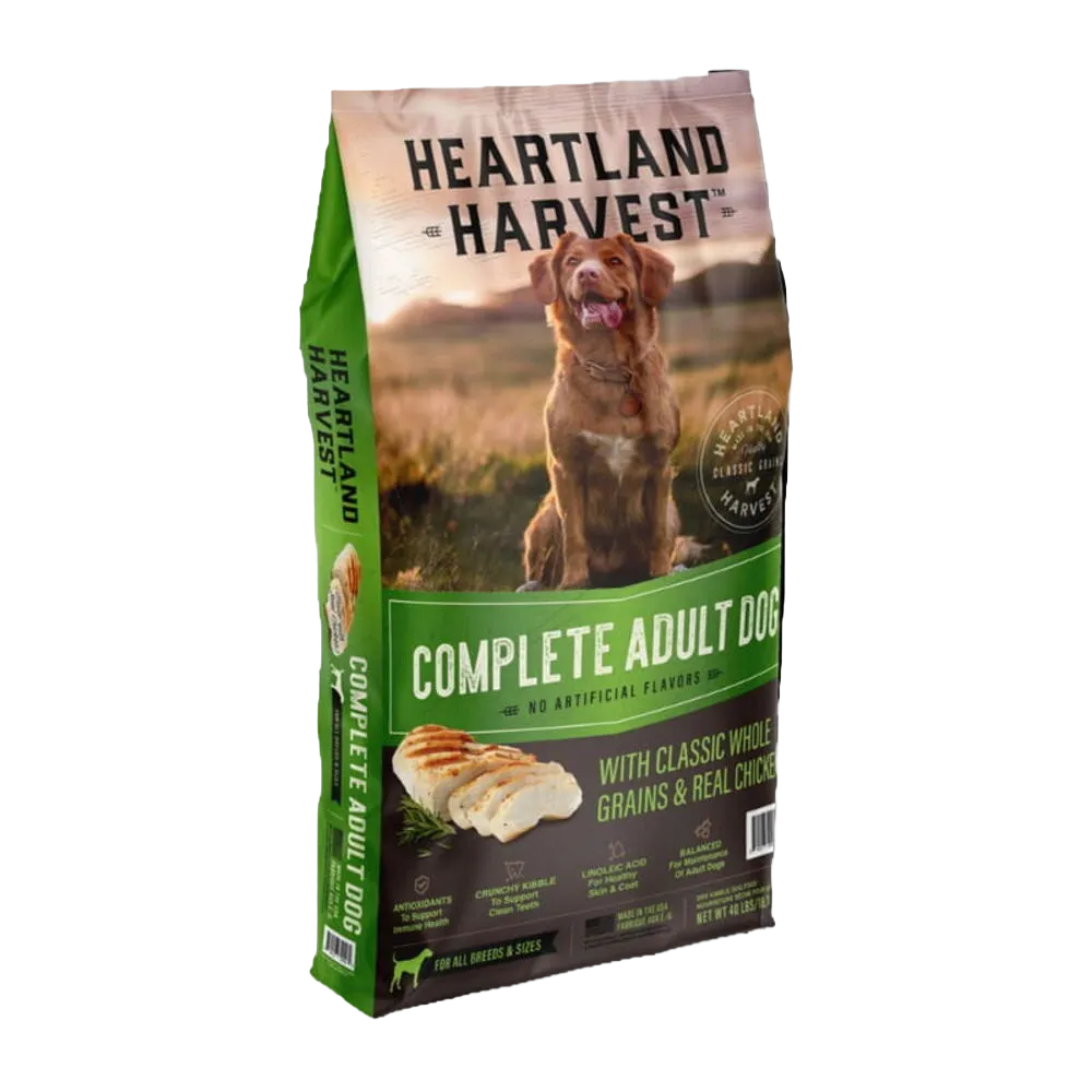 Adult Dog Food