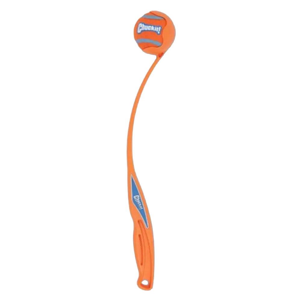 Fetch Dog Toys