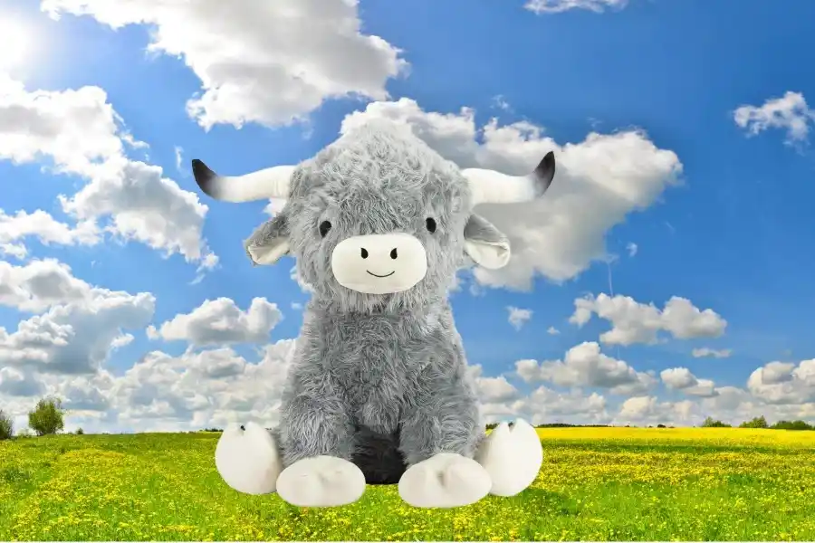 Grey Highland Cow.webp