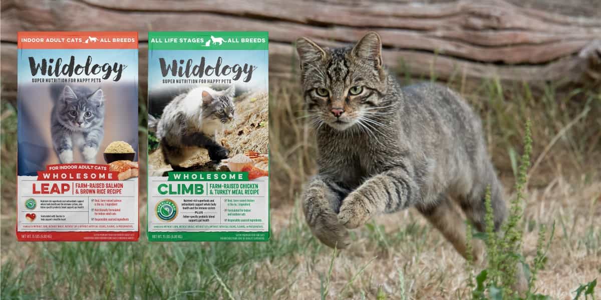Wildology Cat Food.jpg