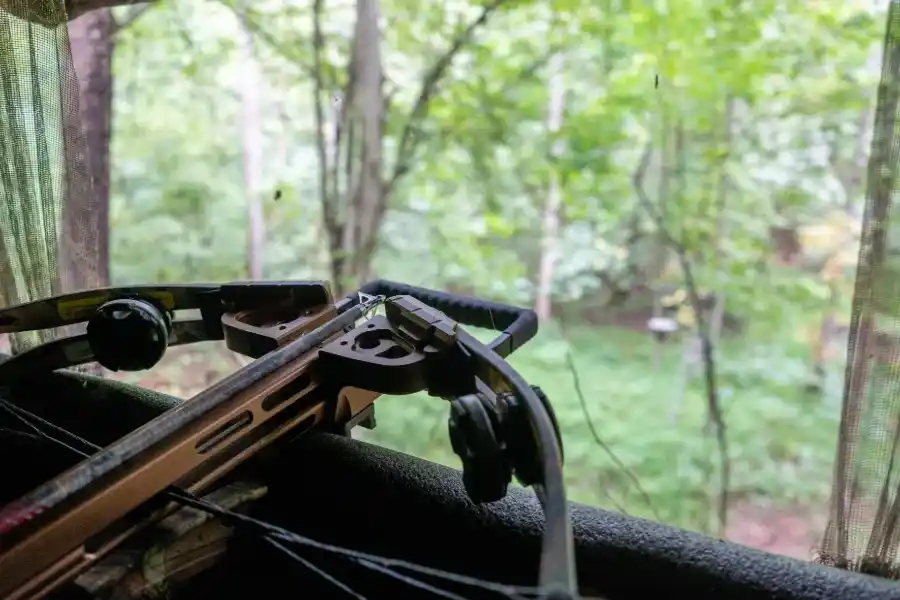 Crossbows and Ammo.webp