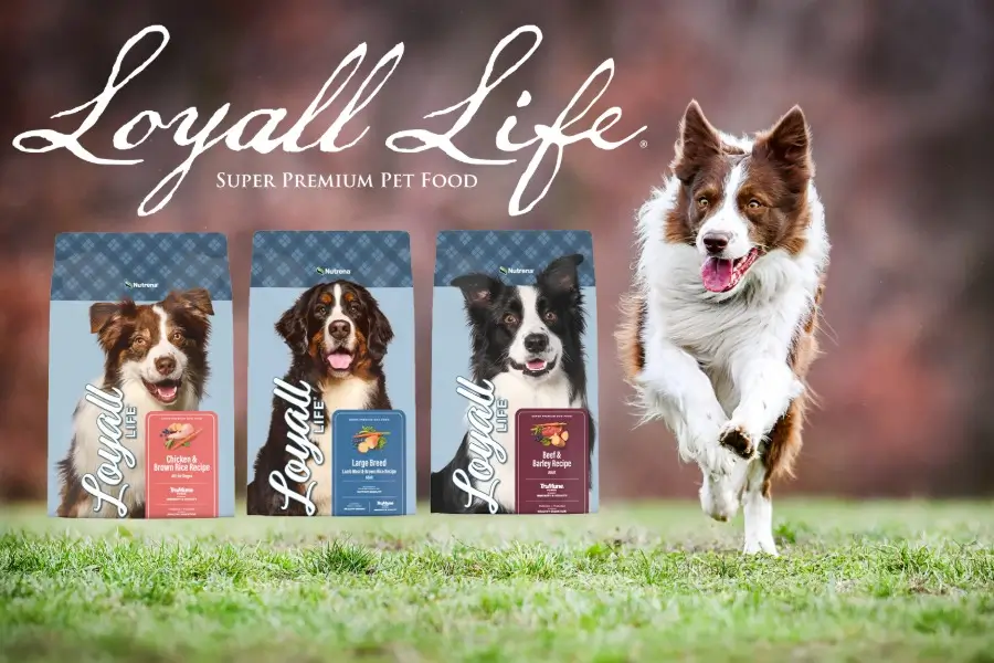 Loyall Life GC Promo.webp
