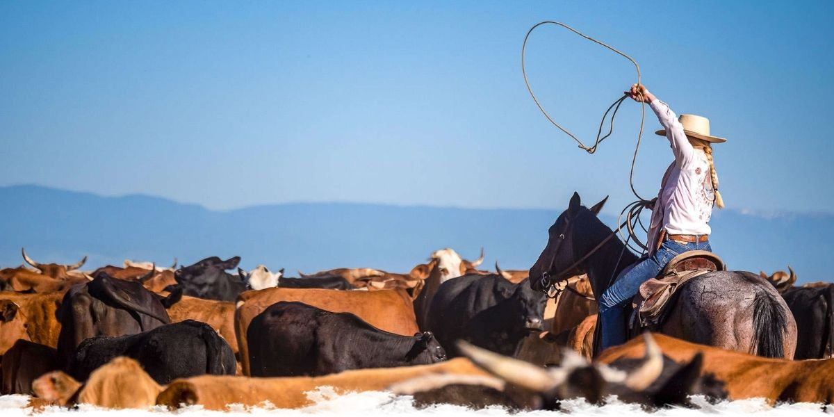 black friday duplex.jpg